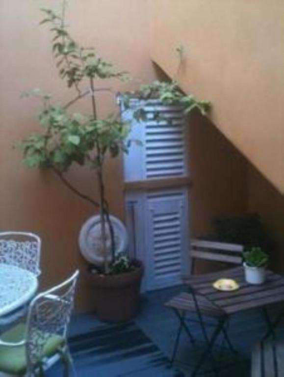 Hotel Rex Nizza Esterno foto